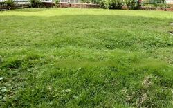 Phoenix Heights (D23), Detached #454234091